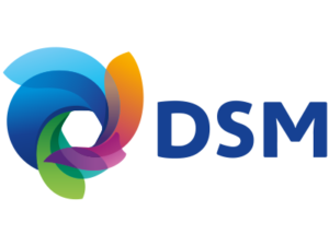 DSM Twilmij B.V.